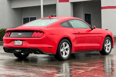 2021 Ford Mustang EcoBoost