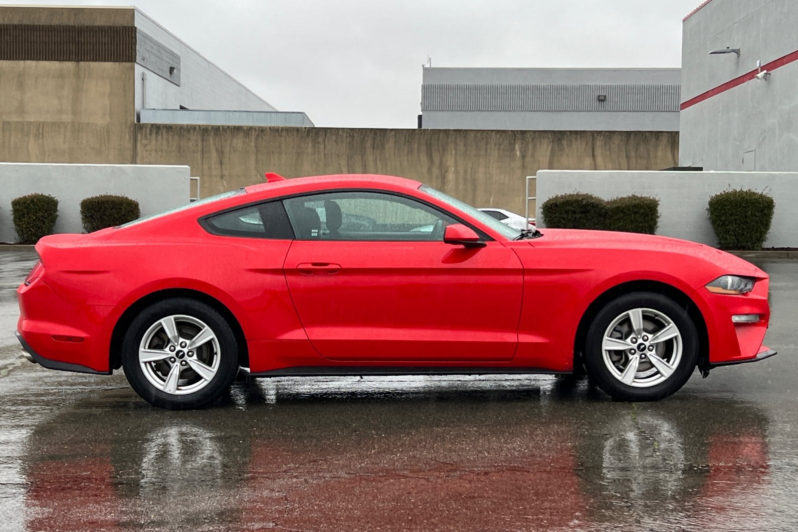 2021 Ford Mustang EcoBoost