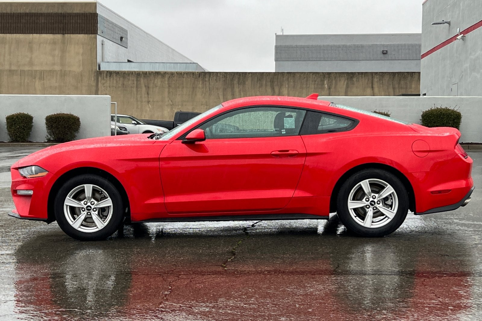 2021 Ford Mustang EcoBoost