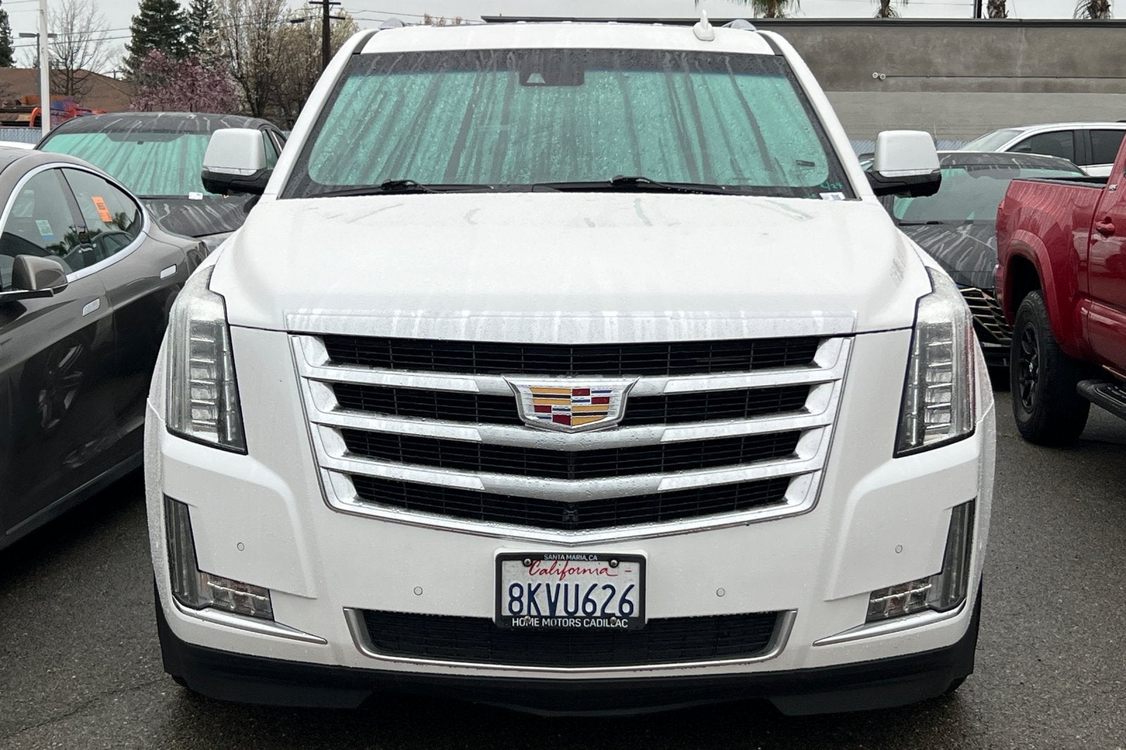 2019 Cadillac Escalade Luxury