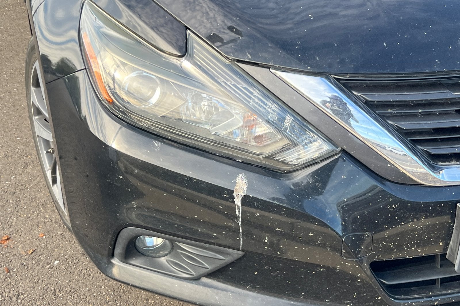 2016 Nissan Altima 2.5 SR