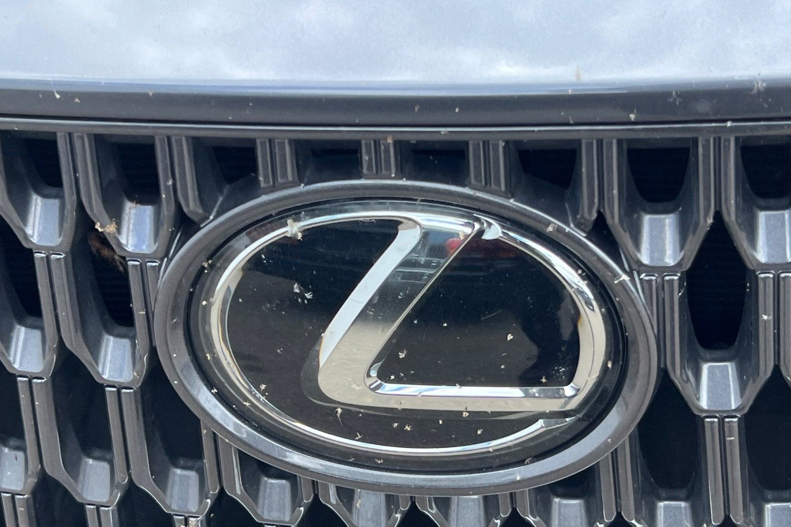 2024 Lexus NX 350 