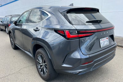 2024 Lexus NX 350 