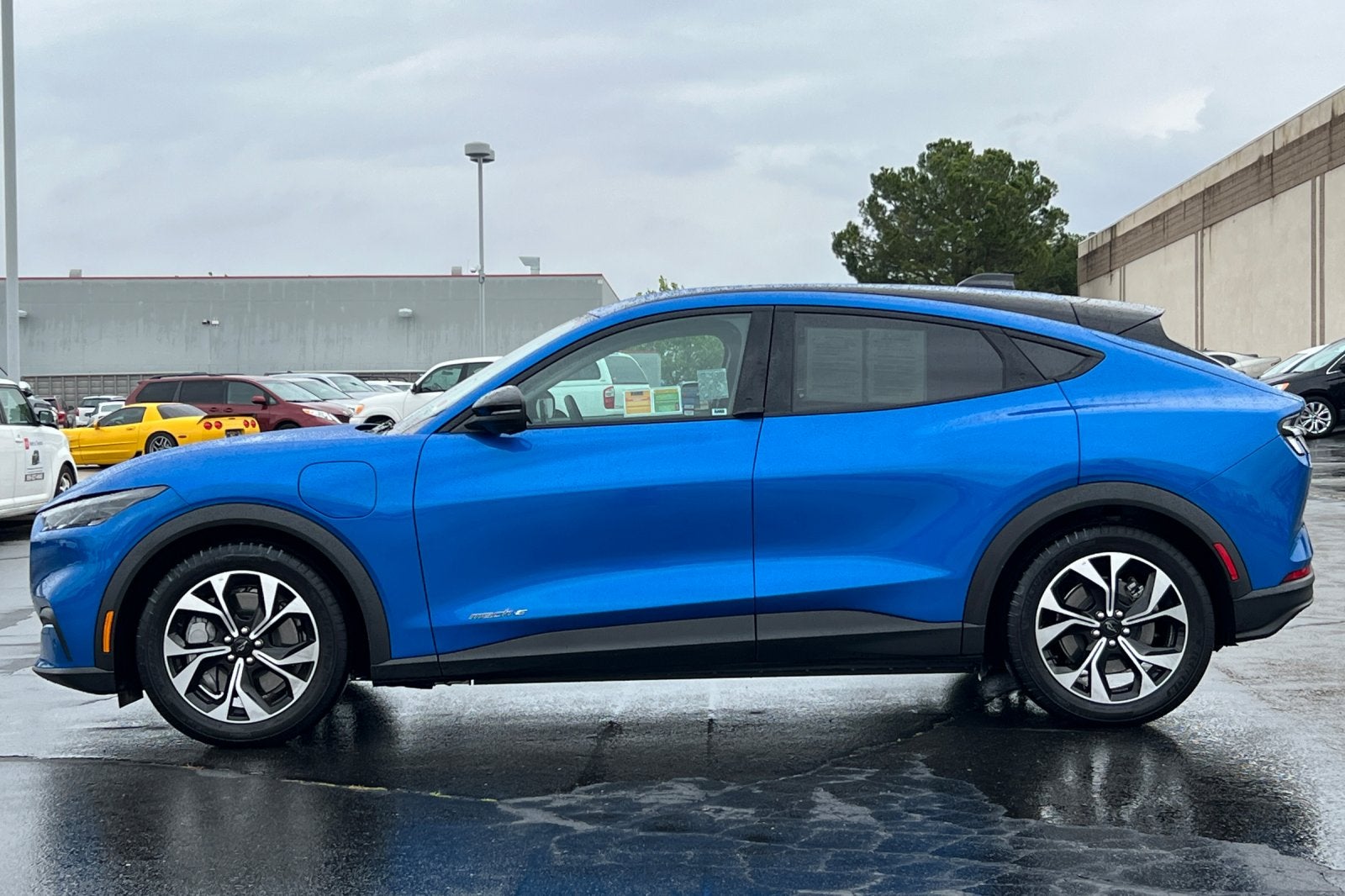 2025 Ford Mustang Mach-E Select