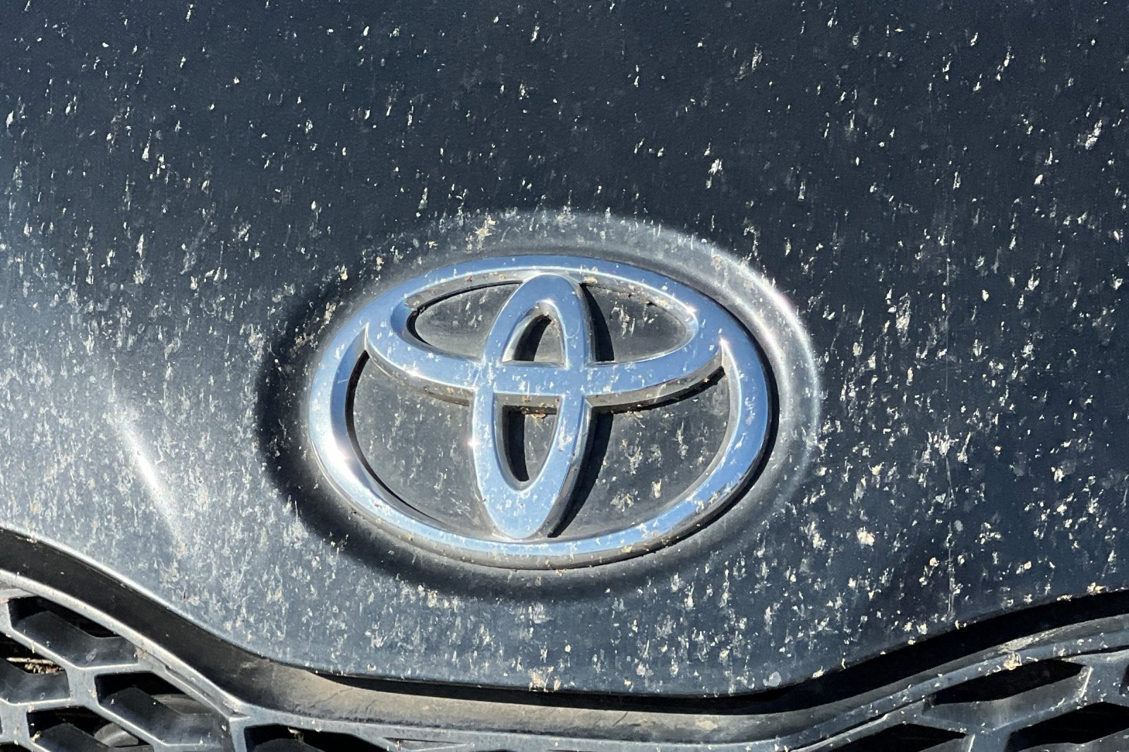 2015 Toyota Sienna SE
