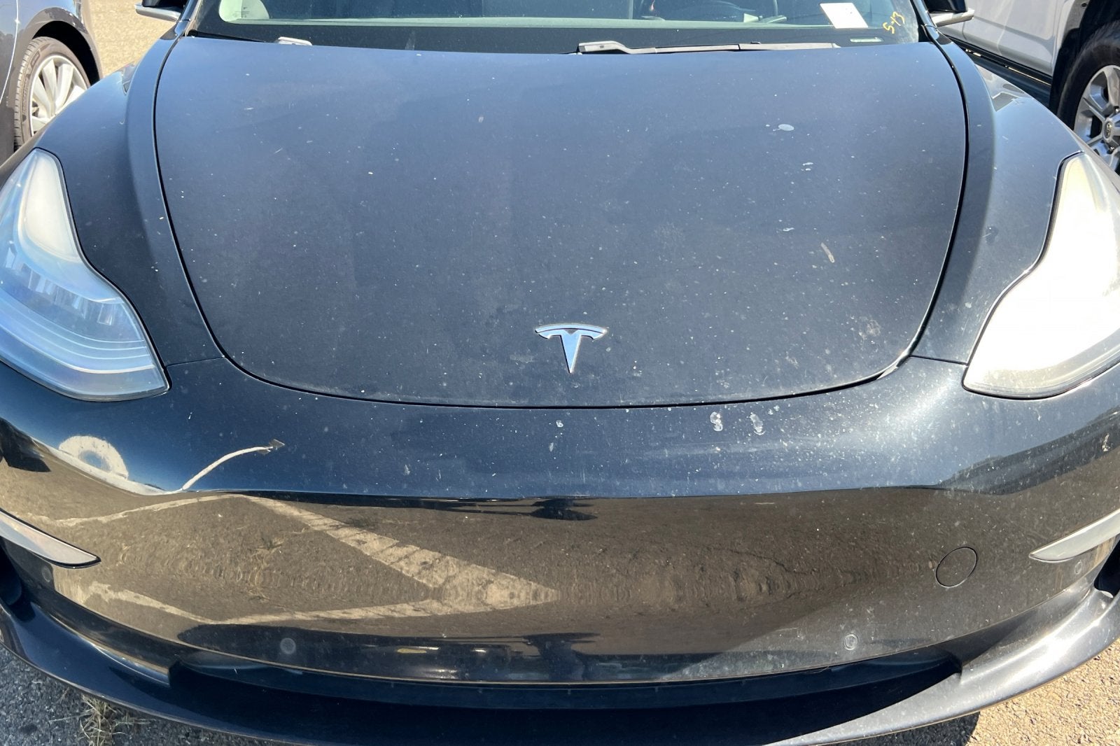 2019 Tesla Model 3 Standard Range