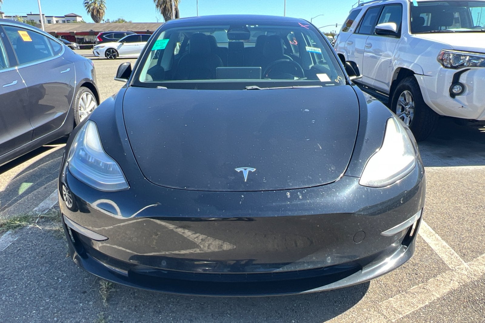 2019 Tesla Model 3 Standard Range