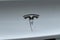 2018 Tesla Model 3 Long Range Battery