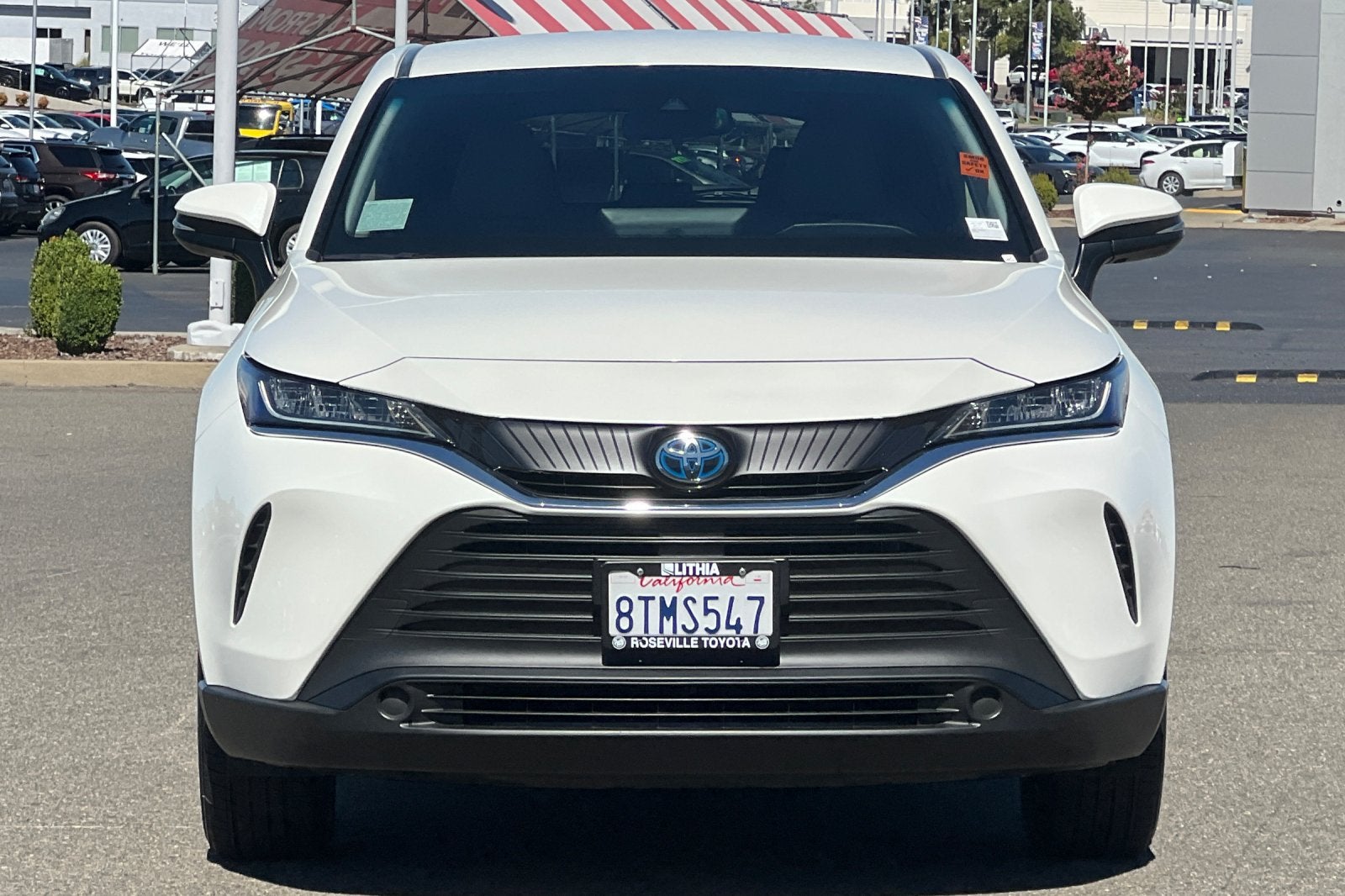 2021 Toyota Venza LE