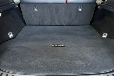 2021 Lexus NX 300h 