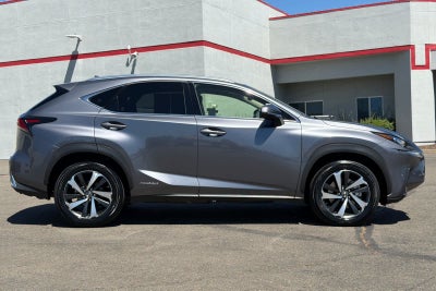2021 Lexus NX 300h 