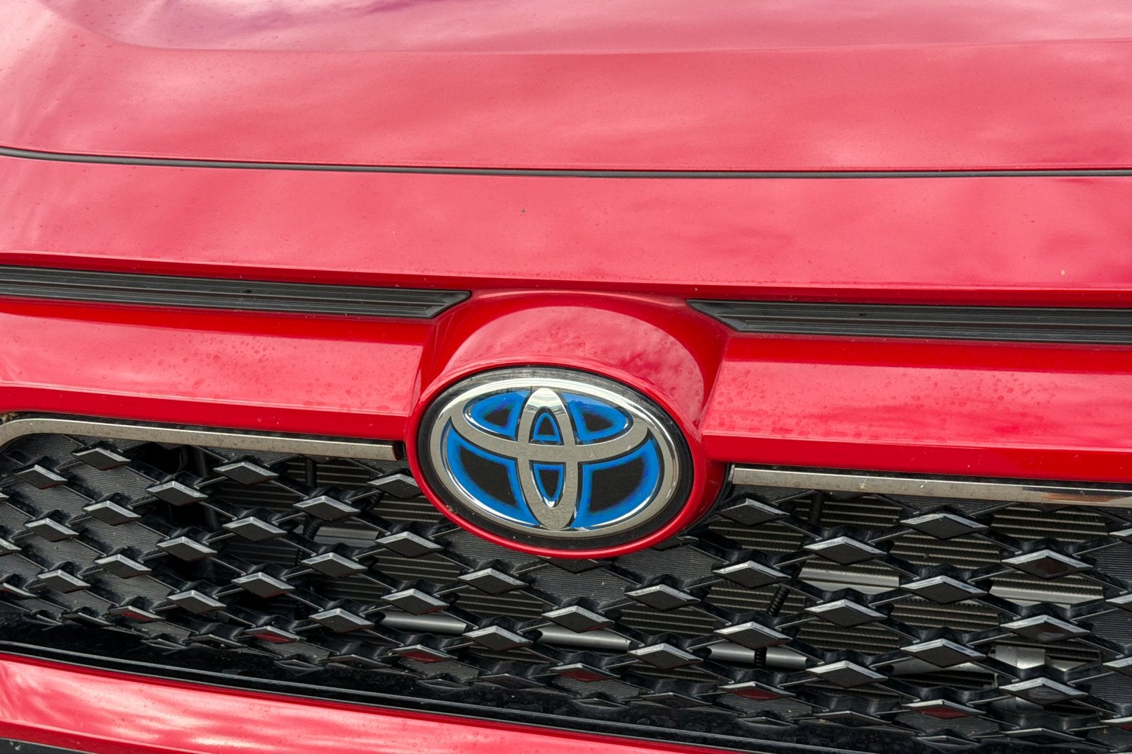 2024 Toyota RAV4 Prime XSE
